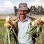 testimonial